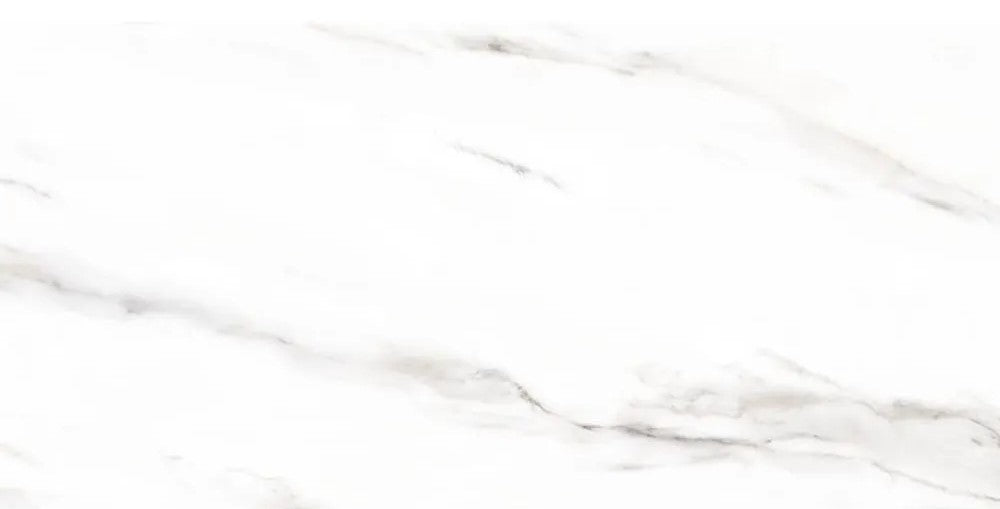 51000 Floor and Wall Tile 20"X45"