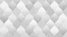HD6087 Ceramic Wall Tile 12" X 23"