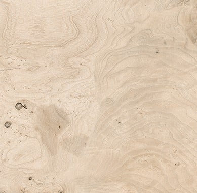 8925 Radica Ceramic Floor and Wall Tile 32"x32"
