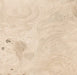 8925 Radica Ceramic Floor and Wall Tile 32"x32"