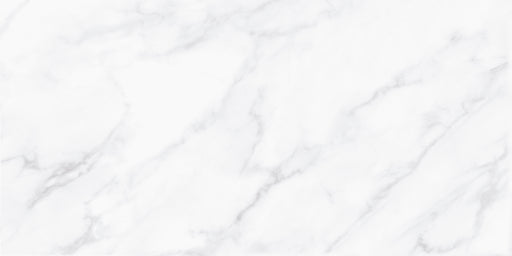 Angelus Gray Ceramic Floor and Wall Tile 12"X23"