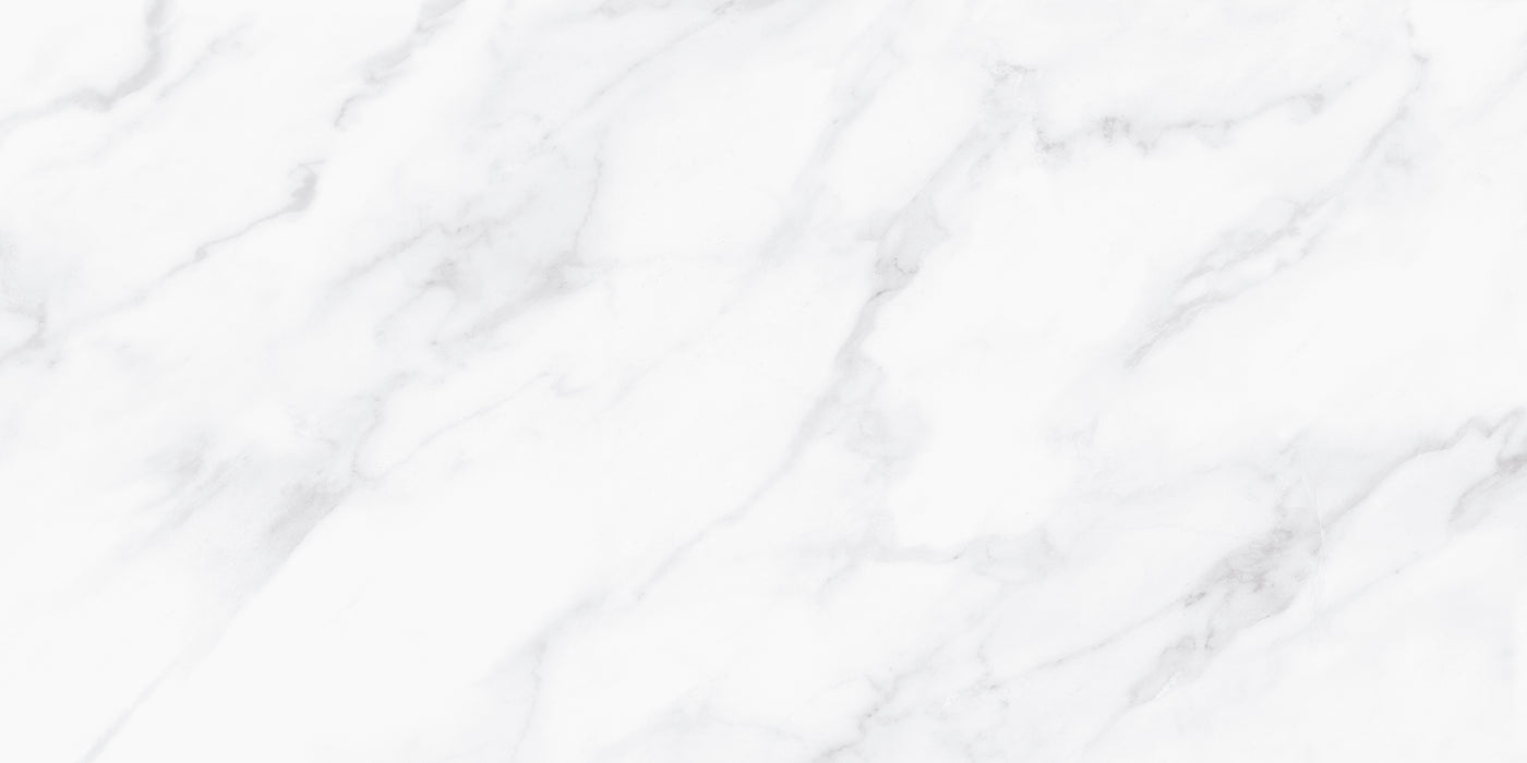 Angelus Gray Ceramic Floor and Wall Tile 12"X23"