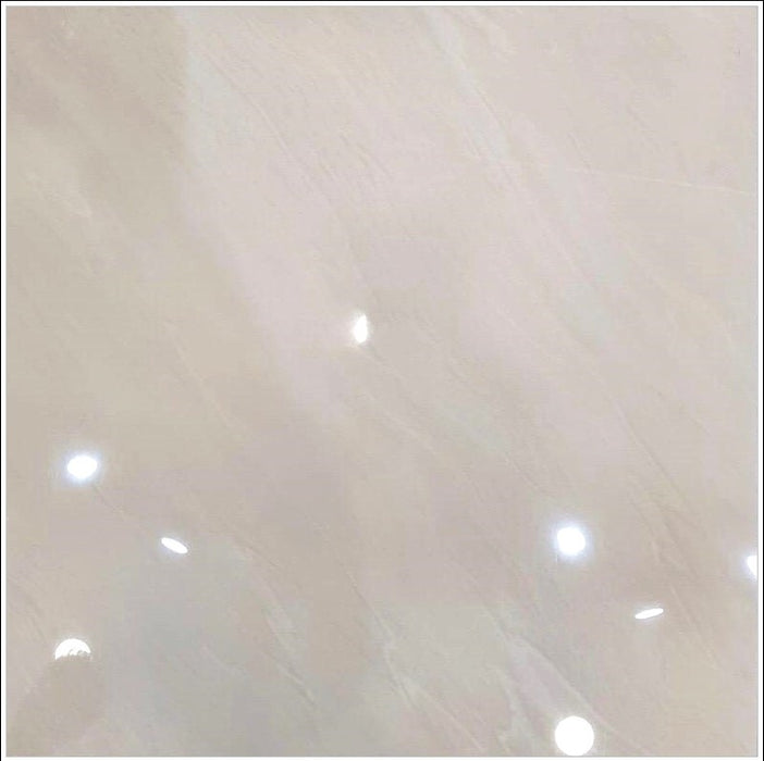 Art M04 Glossy Porcelain 24"X24"