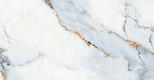 Carlota Oro Ceramic Floor and Wall Tile 12" x 24"