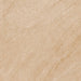Coliseum Beige Porcelain Floor and Wall Tile 20" x 20"