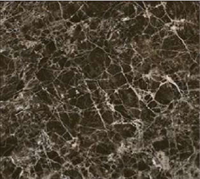 Emprador Choco Porcelain Floor and Wall Tile 24" X 24"