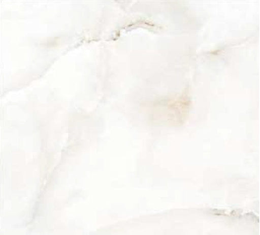 Grey Onyx Porcelain Floor and Wall Tile 24" X 24"