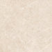 TIL-HAV-CRE-12X12