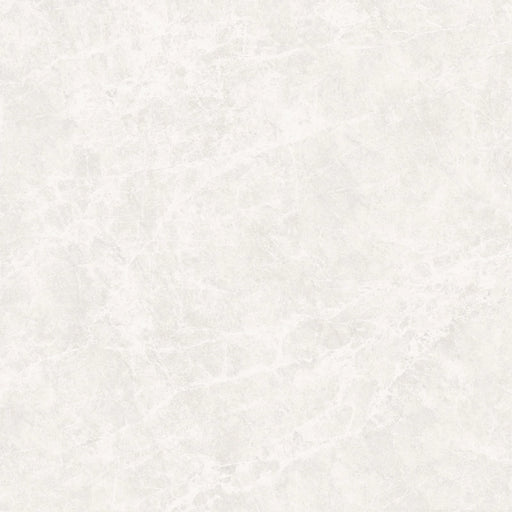 Havana White Plus Ceramic Floor and Wall Tile 12" X 12"