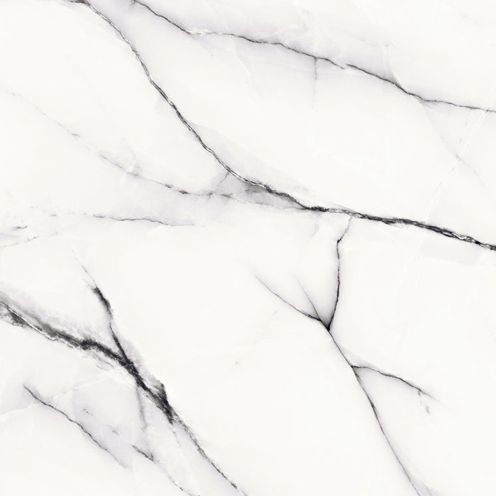 Carrara HD56586 Ceramic Floor Tile 22"X22"