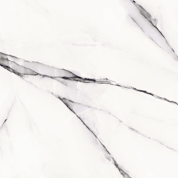 HD56586 Ceramic Floor and Wall Tile 22"X22"