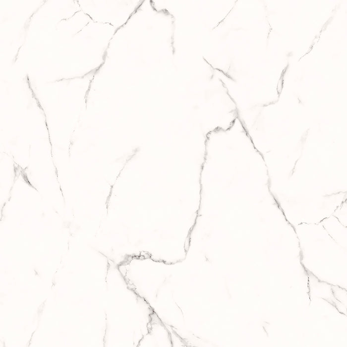 TIL-PIA-PLU-24X24