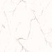 TIL-PIA-PLU-24X24