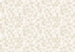 TIL-RT-6119-12X22