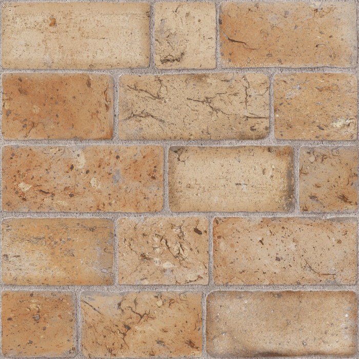 Rustic AD Ceramic Floor and Wall Tile 18" X 18"