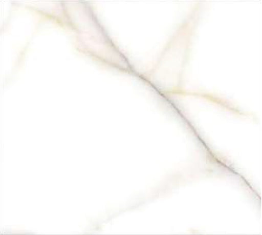 Thasos Satuario Porcelain Floor and Wall Tile 24" X 24"