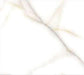Thasos Satuario Porcelain Floor and Wall Tile 24" X 24"