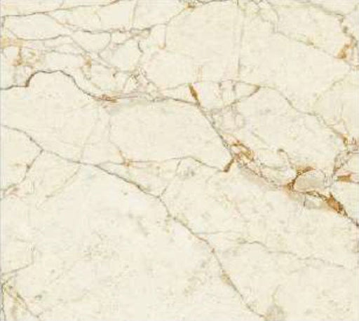 Titus Breccia Porcelain Floor and Wall 24" X 24"