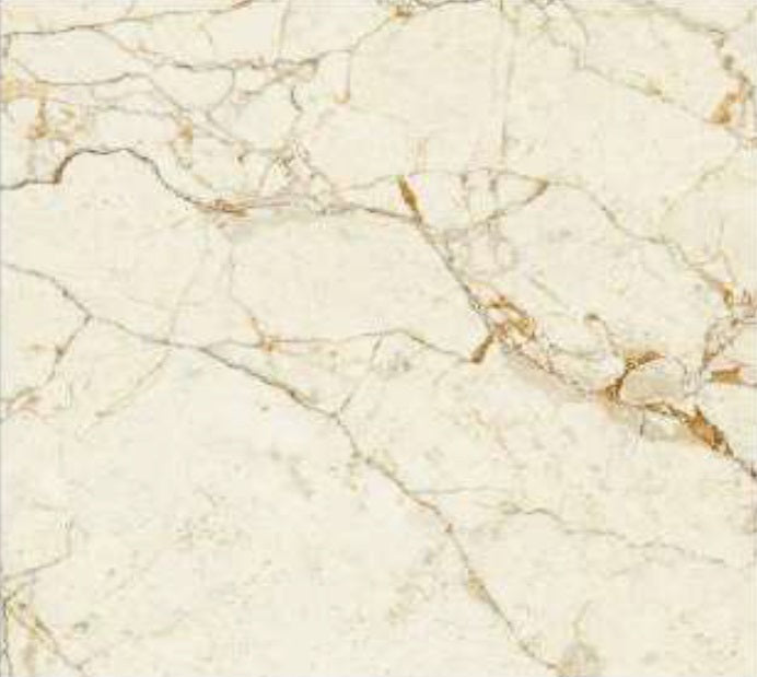 Titus Breccia Porcelain Floor and Wall 24" X 24"