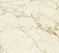 Titus Breccia Porcelain Floor and Wall 24" X 24"