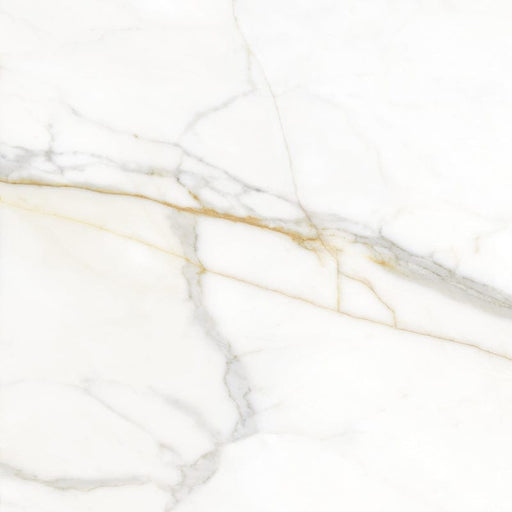 Valencia Ceramic Floor And Wall Tile 24"X24"