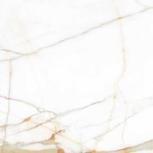 Valencia Ceramic Floor And Wall Tile 24"X24"