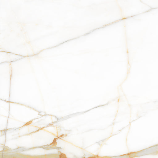 Valencia Ceramic Floor And Wall Tile 24"X24"