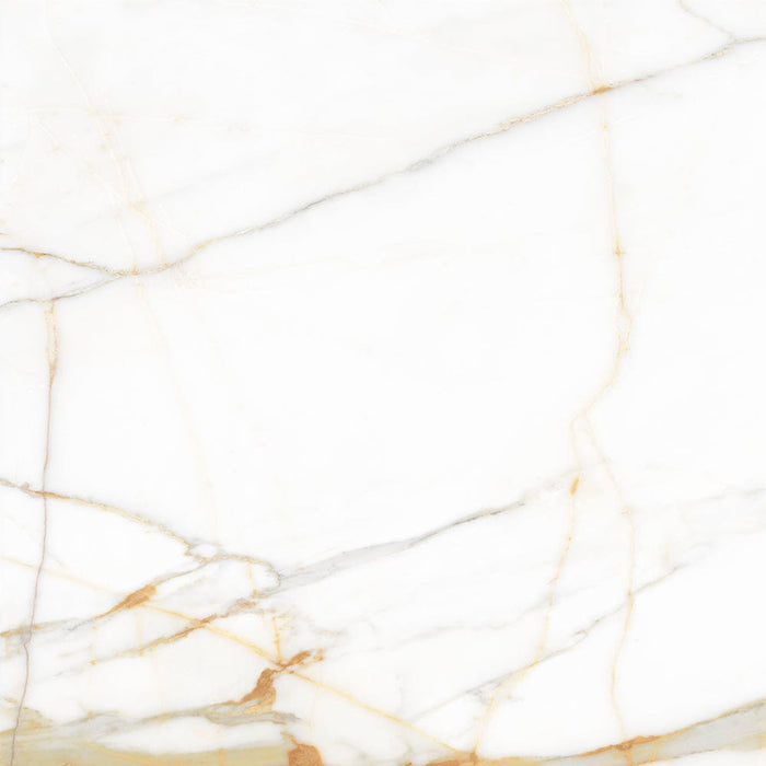 Valencia Ceramic Floor And Wall Tile 24"X24"