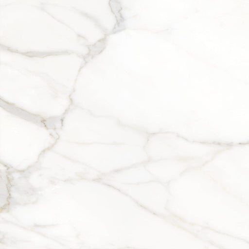 Valencia Ceramic Floor And Wall Tile 24"X24"