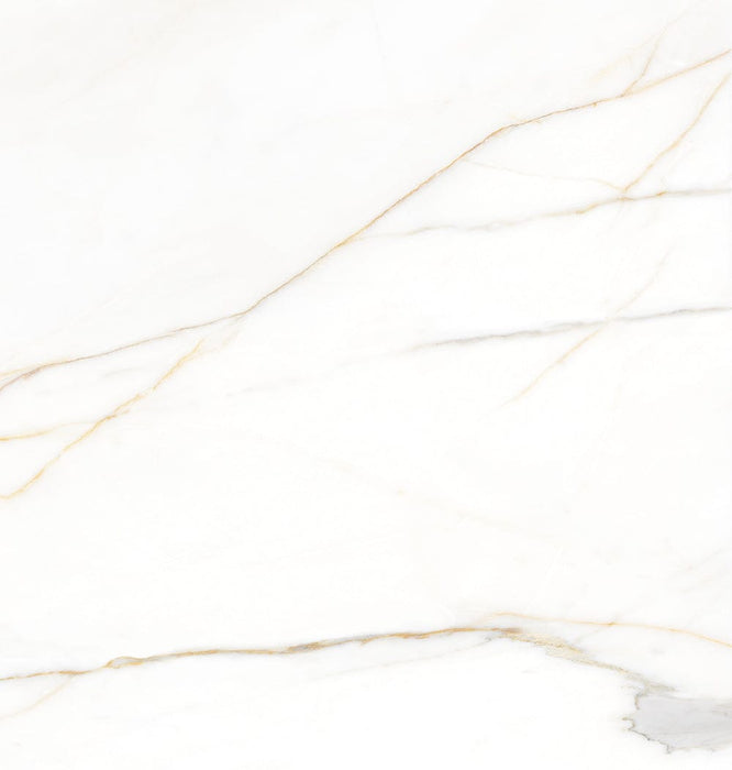 Valencia Ceramic Floor And Wall Tile 24"X24"