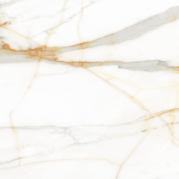 Valencia Ceramic Floor And Wall Tile 24"X24"