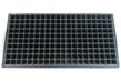 200 Cell Seedling Tray