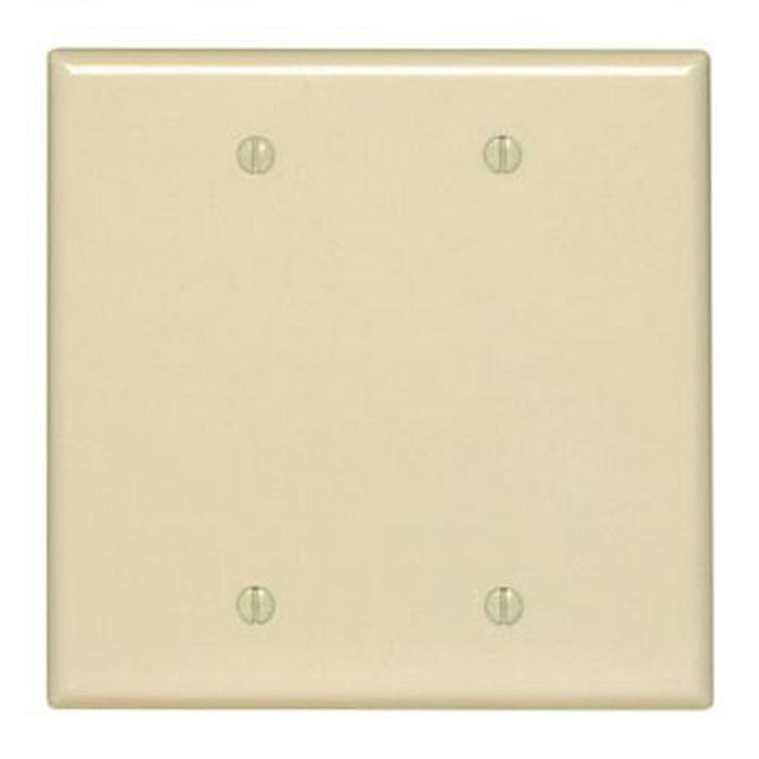 Face Plate Blank Double Ivory