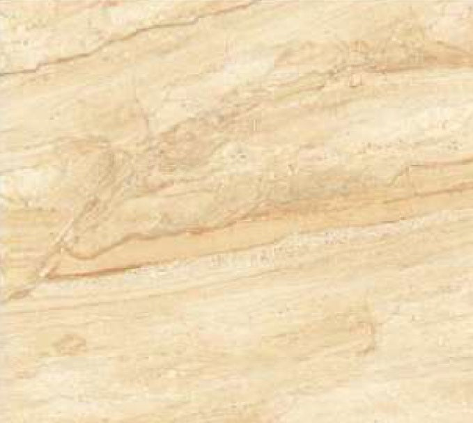 Dyna AS Brown Porcelain Floor and Wall Tile 24" X 24"4PCS